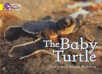 bokomslag Baby Turtle