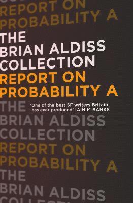 bokomslag Report on Probability A