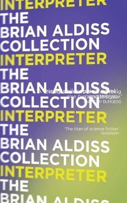 bokomslag Interpreter