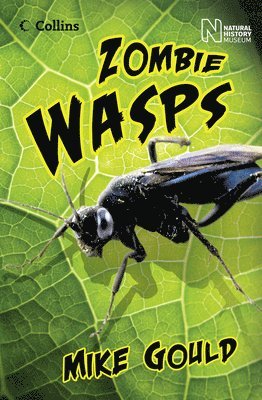 Mike Gould, Natalie Packer, Alan Gibbons - ZOMBIE WASPS, Häftad