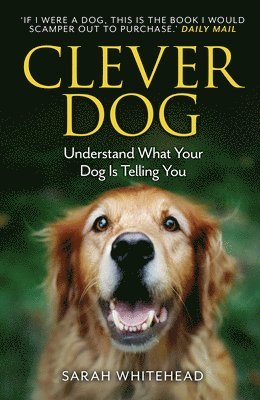 bokomslag Clever Dog