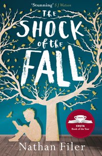 bokomslag Shock of the Fall