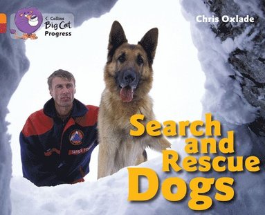 bokomslag Search and Rescue Dogs