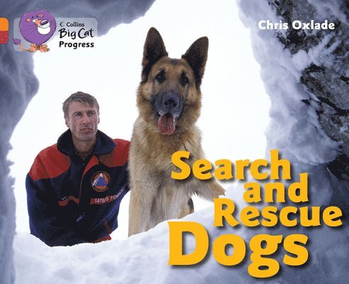 Search and Rescue Dogs 1