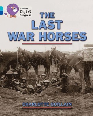 bokomslag The Last War Horses