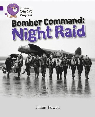 Bomber Command: Night Raid 1