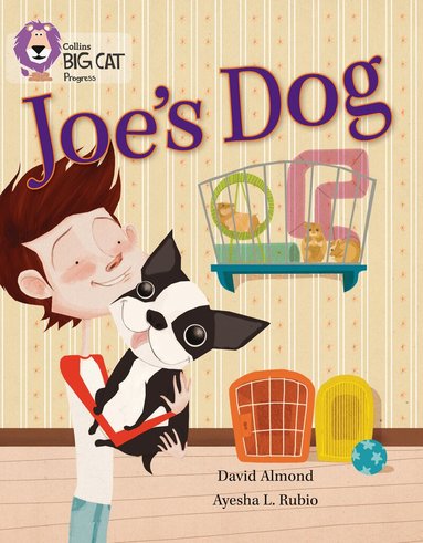 David Almond - Joe’s Dog, Häftad