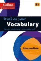 bokomslag Vocabulary