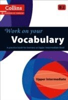 bokomslag Vocabulary