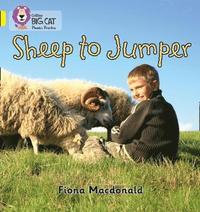 bokomslag Sheep to Jumper