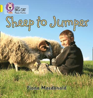 Sheep to Jumper 1