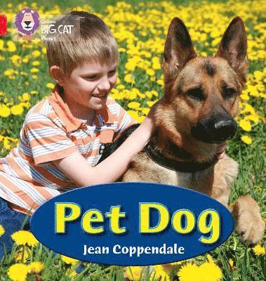 Jean Coppendale - PET DOG, Häftad