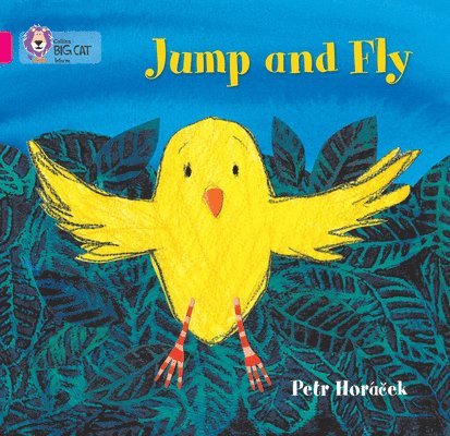 Petr Horáček, Petr Horacek, Cliff Moon - Jump and Fly, Häftad
