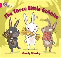 bokomslag The Three Little Rabbits