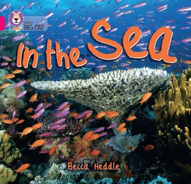 Becca Heddle, Cliff Moon - In the Sea, Häftad