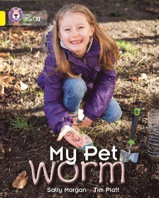 bokomslag My Pet Worm