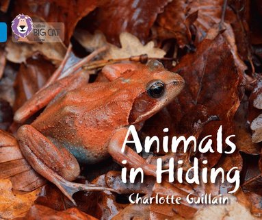 Charlotte Guillain, Cliff Moon - Animals in Hiding, Häftad