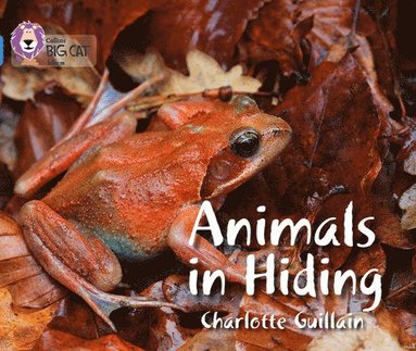 bokomslag Animals in Hiding
