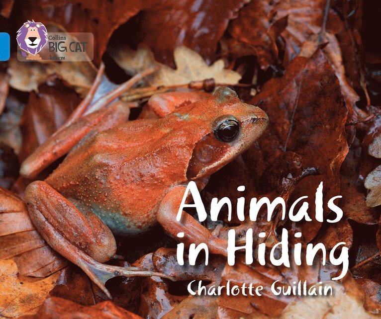 Animals in Hiding 1