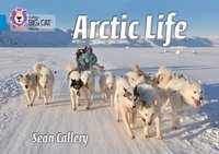 bokomslag Arctic Life