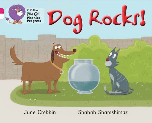 Dog Rocks! 1