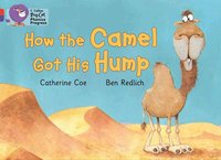 bokomslag How the Camel Got His Hump