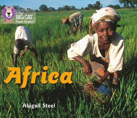 Steel, A: Africa