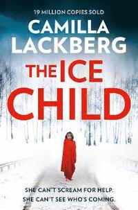 bokomslag The Ice Child