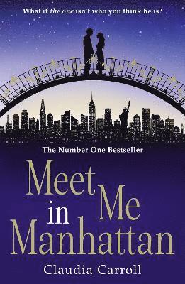 bokomslag Meet Me In Manhattan