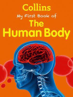 Harpercollins Uk - MY FBO THE HUMAN BODY NONE/E, Häftad