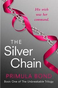 bokomslag The Silver Chain