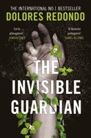 bokomslag Invisible Guardian