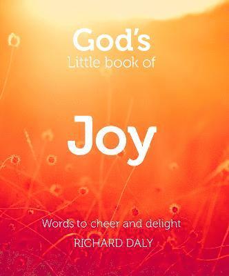 Richard Daly - God’s Little Book of Joy, Häftad