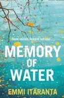 bokomslag Memory of Water
