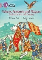 bokomslag Palaces, Peasants and Plagues - England in the 14th century