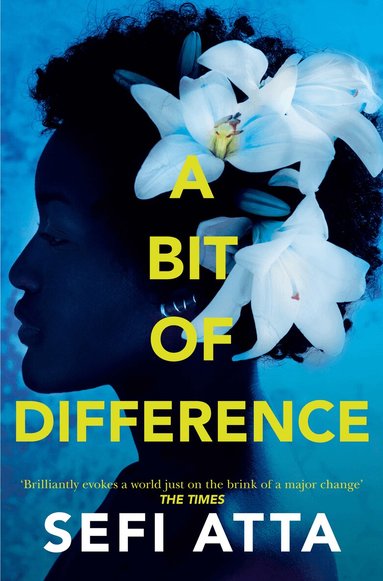 Sefi Atta - Bit of Difference, Häftad