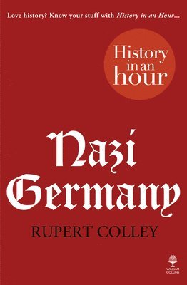 Nazi Germany: History in an Hour 1