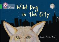 bokomslag Wild Dog In The City