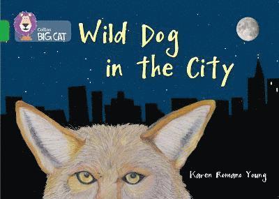 Wild Dog In The City 1