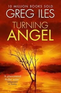 bokomslag Turning Angel