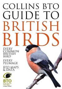 bokomslag Collins BTO Guide to British Birds