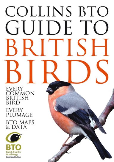 bokomslag Collins BTO Guide to British Birds