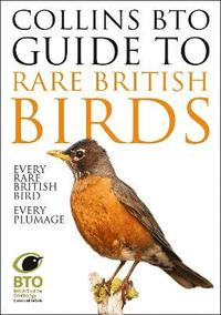 bokomslag Collins BTO Guide to Rare British Birds