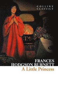 bokomslag Little Princess