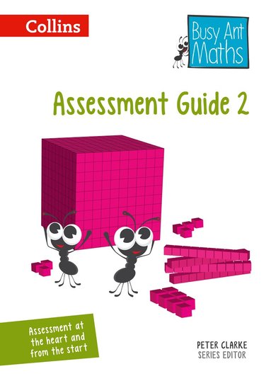 Peter Clarke - Assessment Guide 2, Häftad