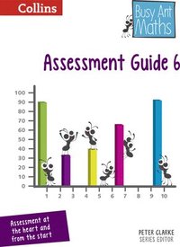 bokomslag Assessment Guide 6