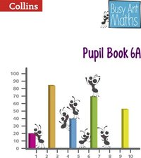 bokomslag Pupil Book 6A