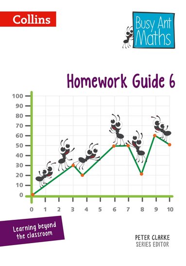 Jeanette Mumford, Sandra Roberts, Linda Glithro, Elizabeth Jurgensen - Homework Guide 6, Häftad