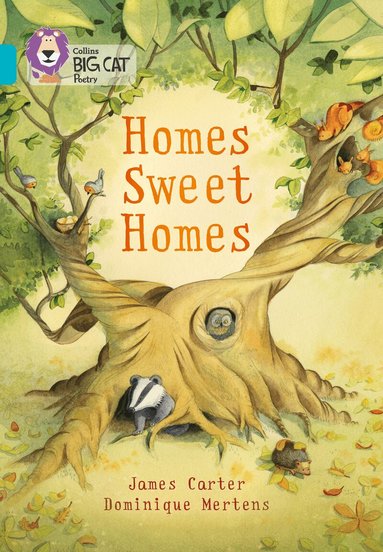 James Carter - Homes Sweet Homes, Häftad