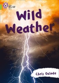 bokomslag Wild Weather